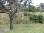 img_4192.jpg