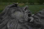 DAG-20210704T141944-IMG 4246
